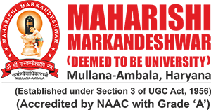 MMDU University